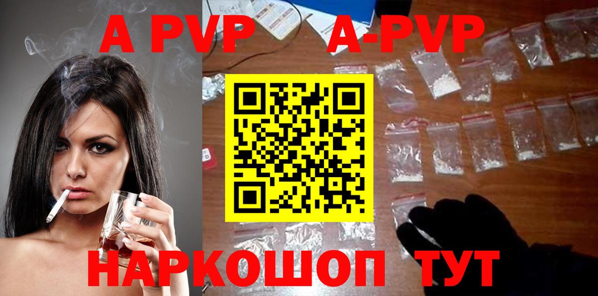 Альфа ПВП СК КРИС Аргун