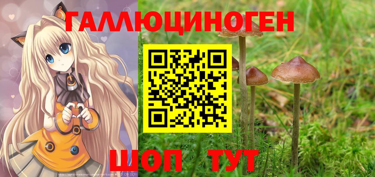 Галлюциногенные грибы прущие грибы Аргун