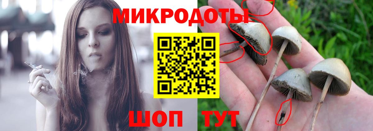 Аргун  Псилоцибиновые грибы мухоморы  Вход с VPN 